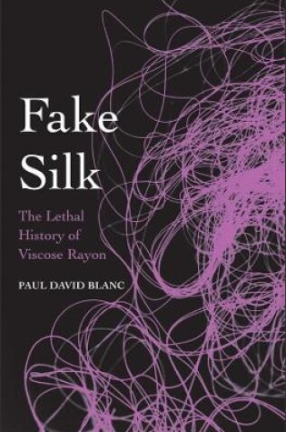 Cover of Fake Silk