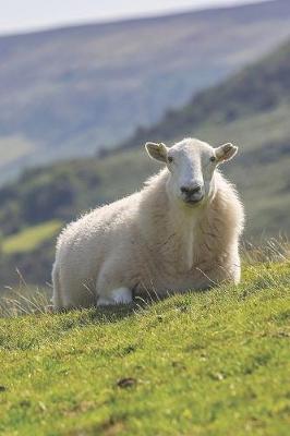 Book cover for A Sheep in the Meadow Journal