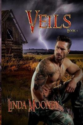 Book cover for Veils