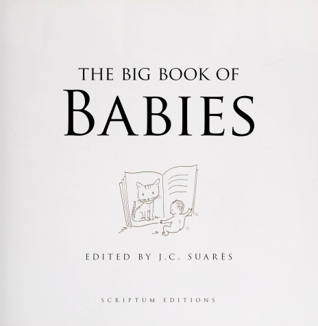 Book cover for Big Book of Babies