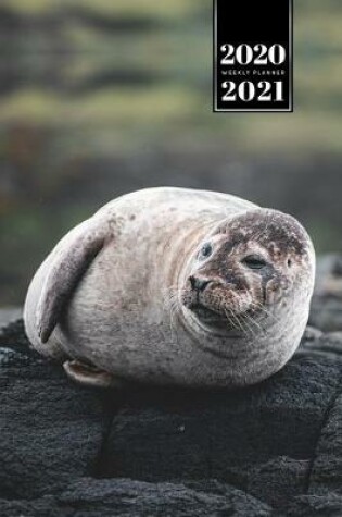 Cover of Seal Manatee Sea Lion Cow Walrus Dugong Week Planner Weekly Organizer Calendar 2020 / 2021 - Wake Up