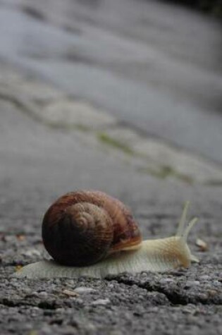 Cover of Snail on the Sidewalk Journal