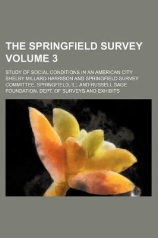 Cover of The Springfield Survey Volume 3; Study of Social Conditions in an American City