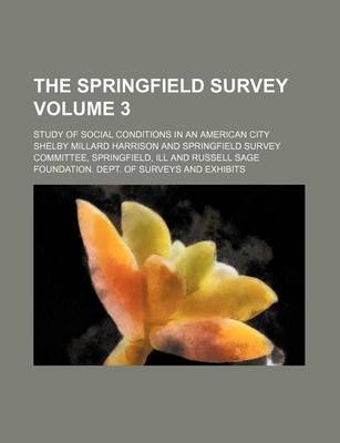 Book cover for The Springfield Survey Volume 3; Study of Social Conditions in an American City