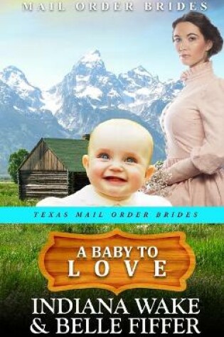Cover of A Baby to Love