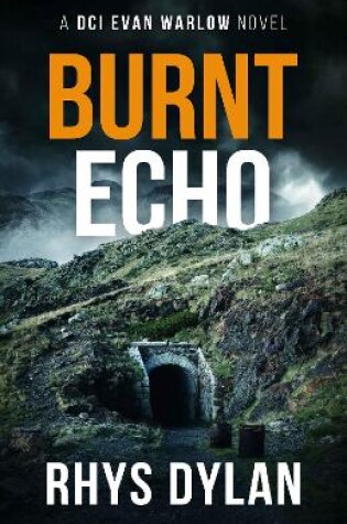 Cover of Burnt Echo