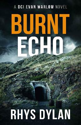 Cover of Burnt Echo