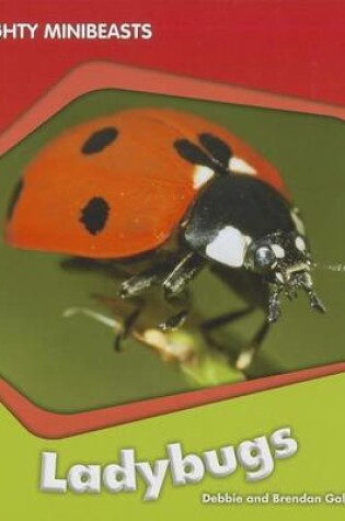 Cover of Us Myl Mmb Ladybugs (Mc)