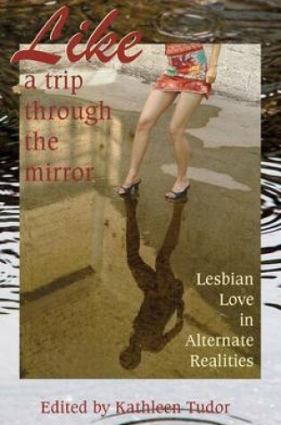 Cover of Like a Trip Through the Mirror