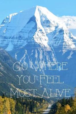 Book cover for Go Where You Feel Most Alive