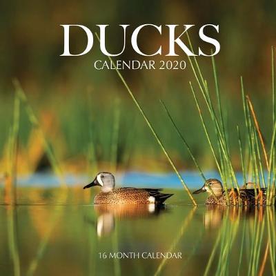 Book cover for Ducks Calendar 2020