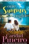 Book cover for One Summer Night