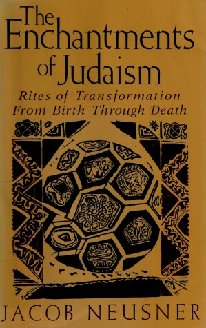 Book cover for Enchantments of Judaism