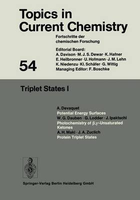 Book cover for Triplet States I