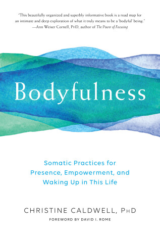 Book cover for Bodyfulness