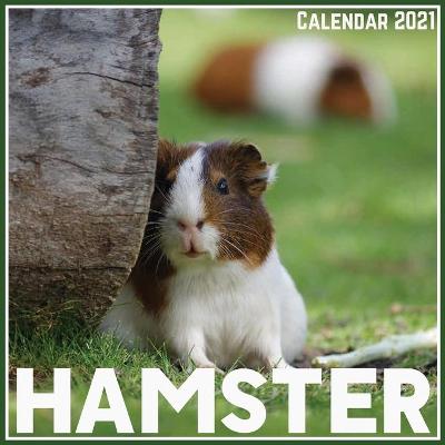 Book cover for Hamster Calendar 2021