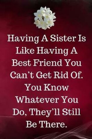 Cover of Having A Sister Is Like Having A Best Friend You Can't Get Rid Of. You Know Whatever You Do, They'll Still Be There.