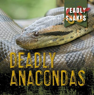 Book cover for Deadly Anacondas