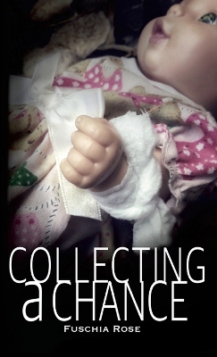 Book cover for Collecting a Chance