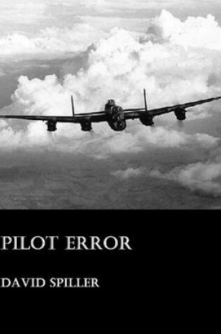 Cover of Pilot Error