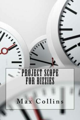 Cover of Project Scope For Bizzies