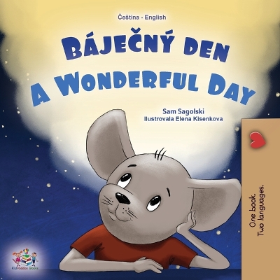 Book cover for A Wonderful Day (Czech English Bilingual Book for Kids)
