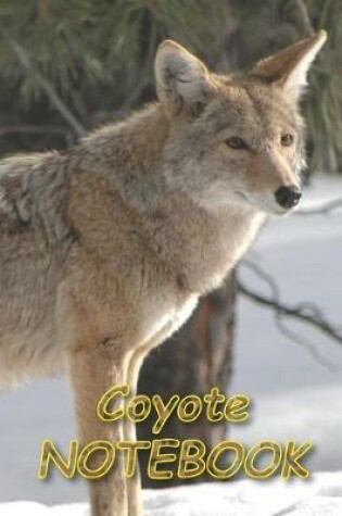 Cover of Coyote NOTEBOOK