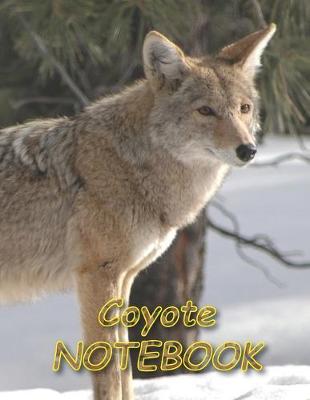 Book cover for Coyote NOTEBOOK
