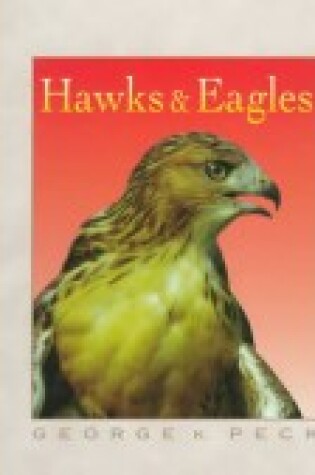 Cover of Hawks and Eagles