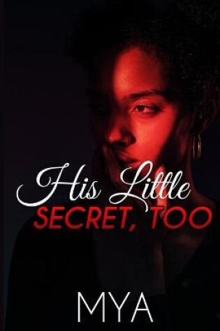 Cover of His Little Secret, Too