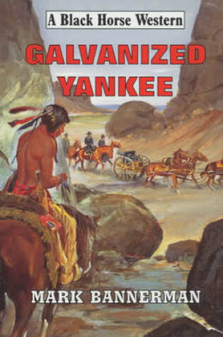 Cover of Galvanized Yankee