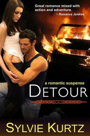 Cover of Detour (a Romantic Suspense Novel)
