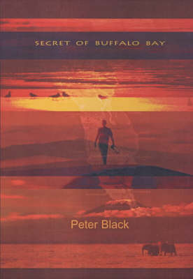 Book cover for The Secret of Buffalo Bay