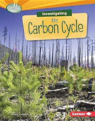 Book cover for Investigating the Carbon Cycle