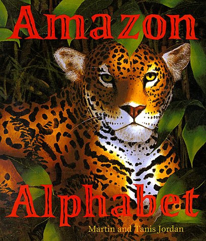 Book cover for Amazon Alphabet