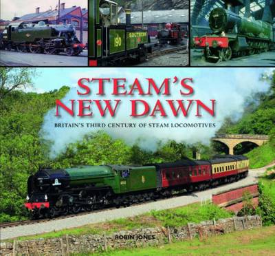 Book cover for Steam's New Dawn