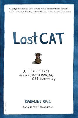 Book cover for Lost Cat