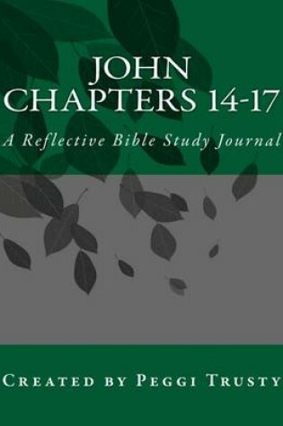 Cover of John, Chapters 14-17