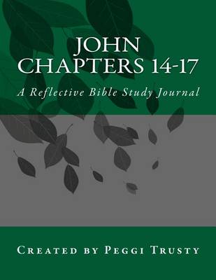 Cover of John, Chapters 14-17