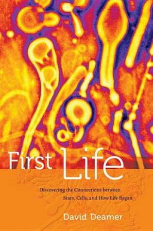 Cover of First Life