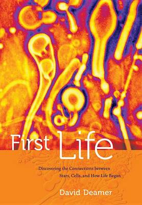 Book cover for First Life