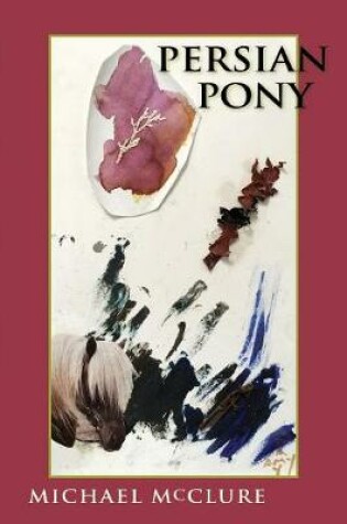 Cover of Persian Pony