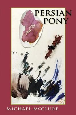 Book cover for Persian Pony