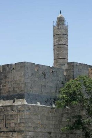 Cover of The Tower of David in Jerusalem, Israel