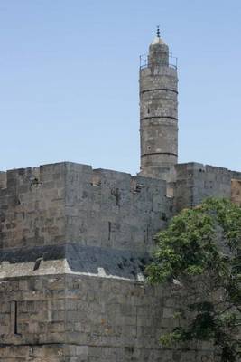 Book cover for The Tower of David in Jerusalem, Israel