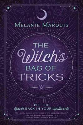 Book cover for The Witch's Bag of Tricks