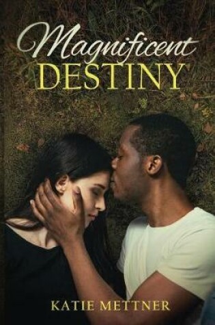 Cover of Magnificent Destiny