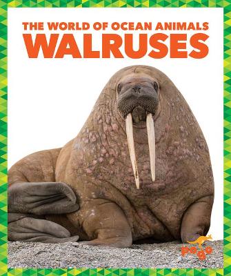 Book cover for Walruses