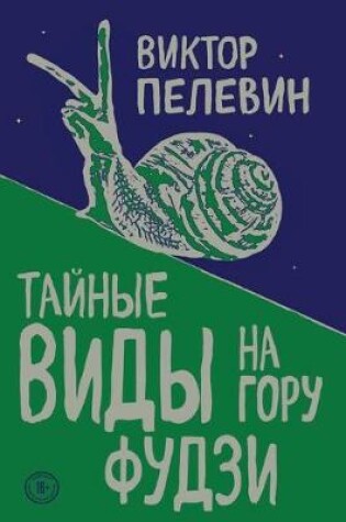 Cover of Taynyye vidy na goru Fudzi