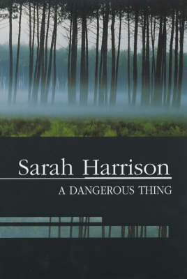 Book cover for A Dangerous Thing